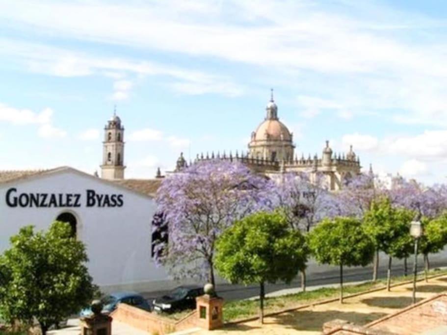 Appartement Apartamento Loft Jerez Buleria à Jerez de la Frontera Extérieur photo